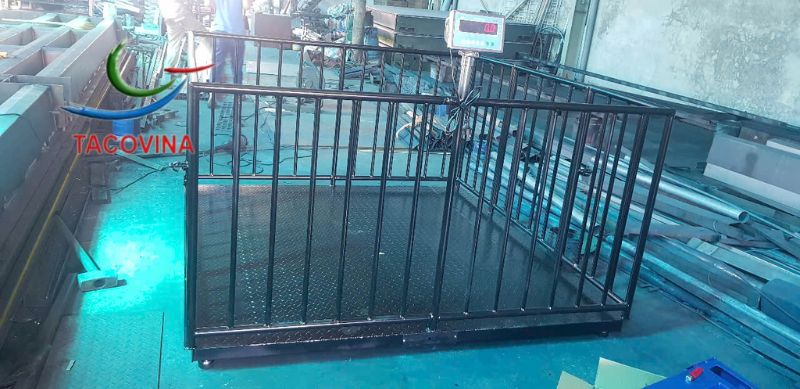 cân sàn có lồng kích thuớ 1,5m x 1,5m lồng tháo dời được cân sàn có lồng kích thuớ 1,5m x 1,5m lồng tháo dời được