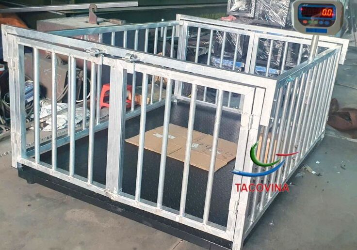 Thiết kế chưa có tên - 2025-10-31T152830.556