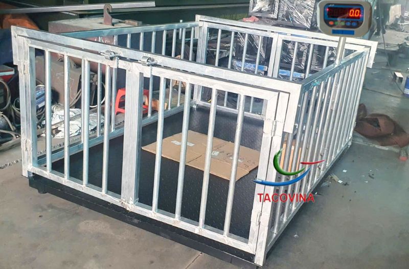 Cân động vật heo 1 tấn kích thước 1.5m x 1.5m Cân động vật heo 1 tấn kích thước 1.5m x 1.5m