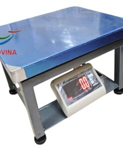 CÂN GHẾ ĐIỆN TỬ 60KG, 100KG, 200KG