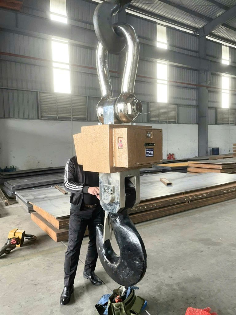 MẶT SAU CÂN TREO ĐIỆN TỬ 30 TẤN MẶT SAU CÂN TREO ĐIỆN TỬ 30 TẤN